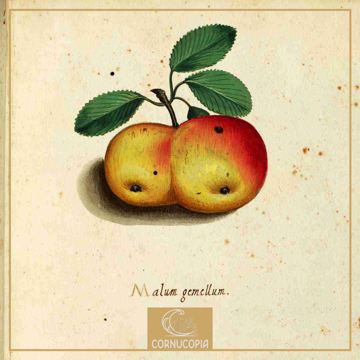 In Praise of Ulisse Aldrovandi
