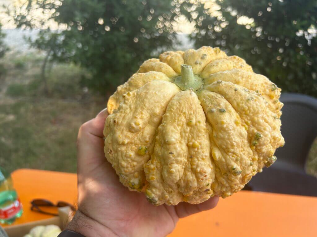 Melone Rospa